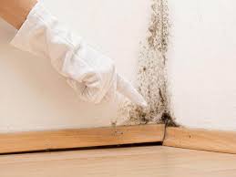 Best Basement Mold Removal  in Rose Hill, KS